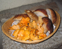 c�pes et girolles
