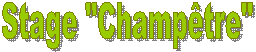 Stage "Champ�tre" 
