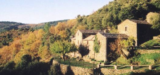 MAS LOU ABEILHS � Saint Germain de Calberte en Cevennes