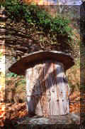 Beehive