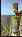 Vase de S�vres