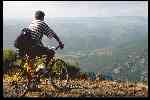 VTT